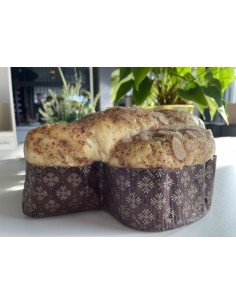 COLOMBA EVOLUTION CON...